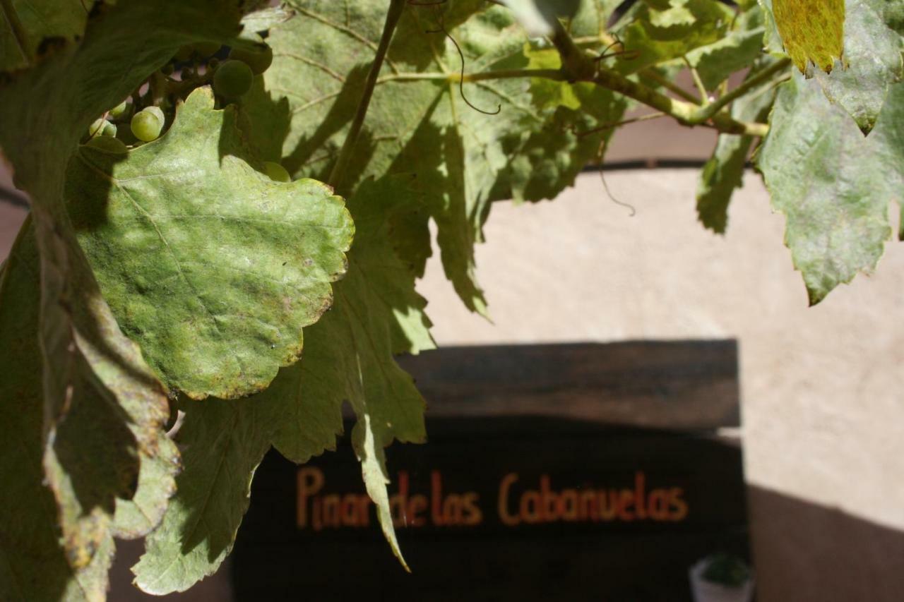 Pinar De Las Cabanuelas Villanueva de Duero Esterno foto